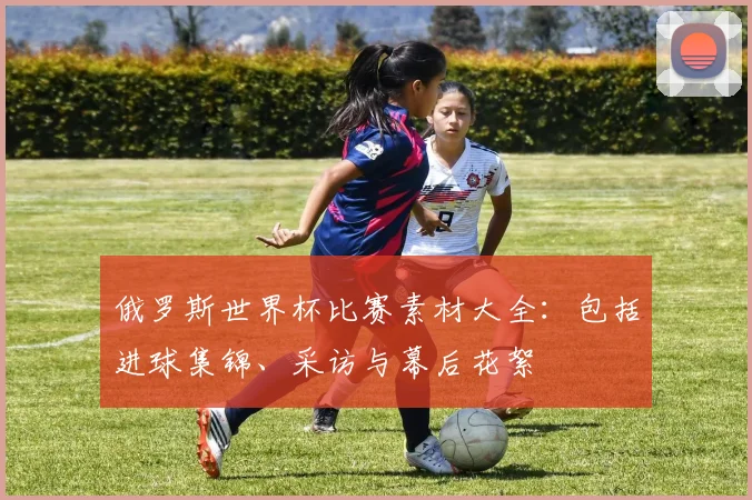 俄罗斯世界杯比赛素材大全:包括进球集锦、采访与幕后花絮