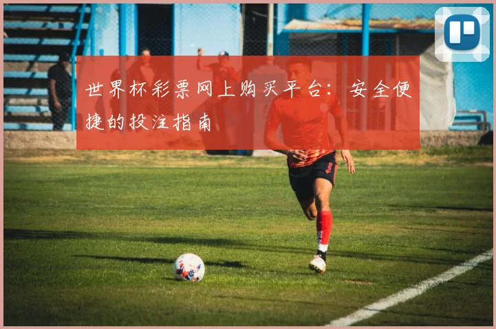 世界杯彩票网上购买平台:安全便捷的投注指南